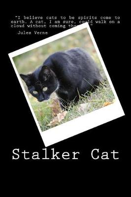 Book cover for Stalker Cat (Journal / Notebook)