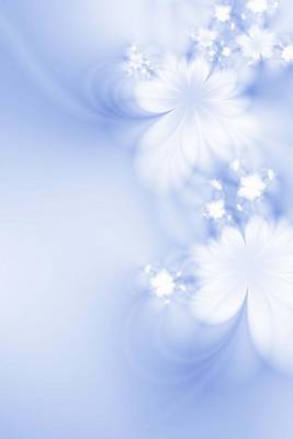 Book cover for Beautiful Fractal Flowers 5