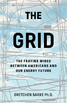 Book cover for The Grid