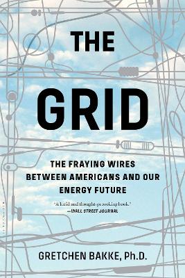 Book cover for The Grid