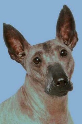 Cover of Xoloitzcuintli