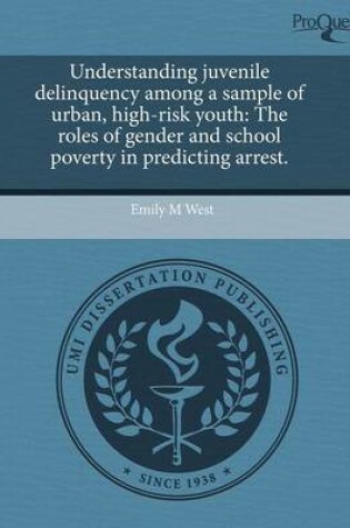 Cover of Understanding Juvenile Delinquency Among a Sample of Urban, High-Risk Youth