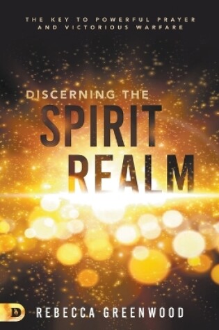 Cover of Discerning the Spirit Realm