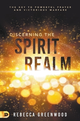 Book cover for Discerning the Spirit Realm