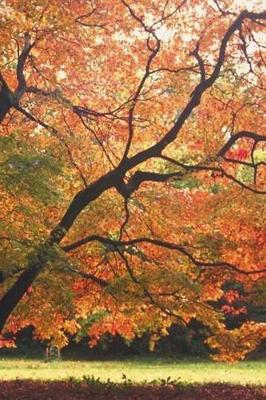 Book cover for Journal Beautiful Fall Tree Autumn Season