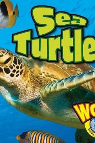 Cover of Sea Turtles