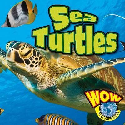 Cover of Sea Turtles