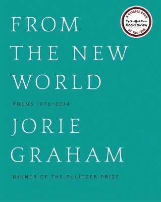 Book cover for From the New World