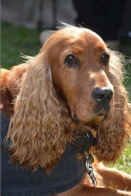 Book cover for Cocker Spaniel Dog Journal