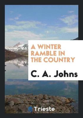 Book cover for A Winter Ramble in the Country