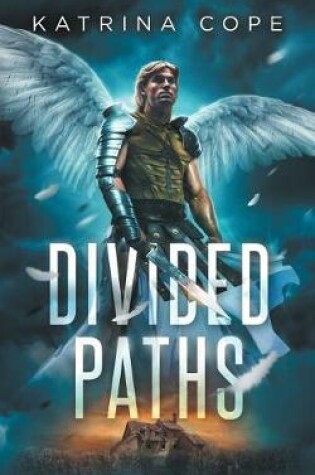 Cover of Divided Paths