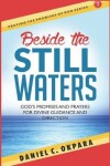 Book cover for Beside the Still Waters