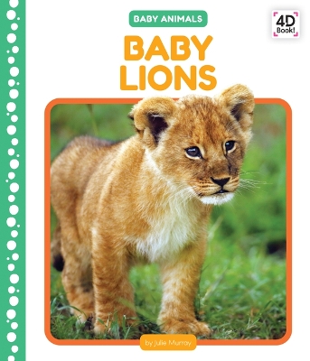 Book cover for Baby Lions