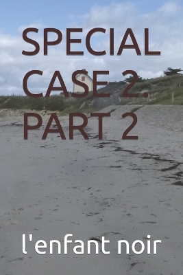 Book cover for Special Case 2. Part 2