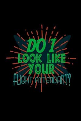 Book cover for Do I look like your flight attendant?