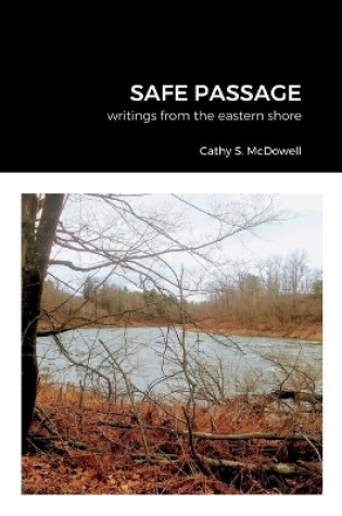 Cover of Safe Passage