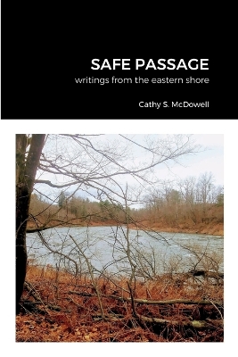 Book cover for Safe Passage