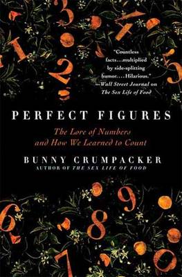 Book cover for Perfect Figures