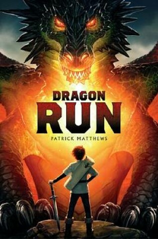Cover of Dragon Run