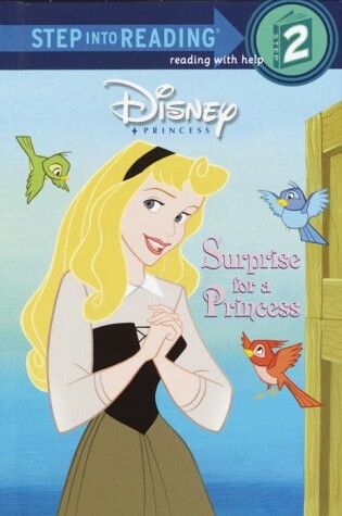 Cover of Surprise for a Princess