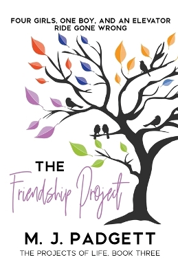 Book cover for The Friendship Project