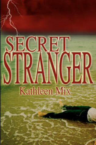 Cover of Secret Stranger