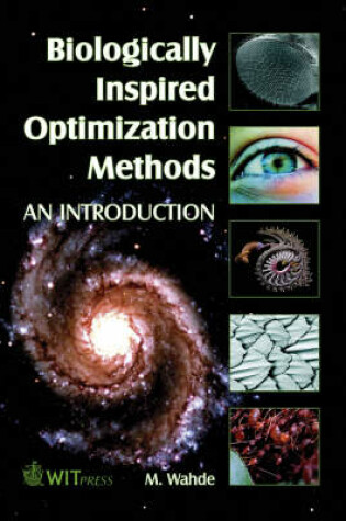 Cover of Biologically Inspired Optimization Methods