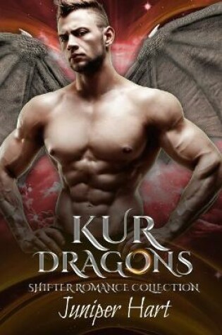 Cover of Kur Dragons