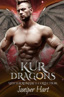 Book cover for Kur Dragons