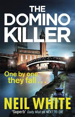 Book cover for The Domino Killer