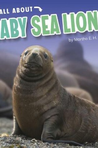 Cover of Sea Lions