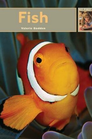 Cover of Fish