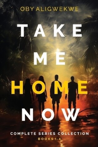 Cover of Take Me Home Now