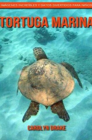 Cover of Tortuga marina