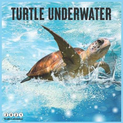 Cover of Turtle Underwater 2021 Wall Calendar