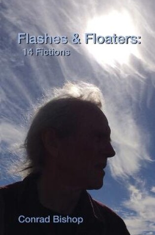 Cover of Flashes & Floaters