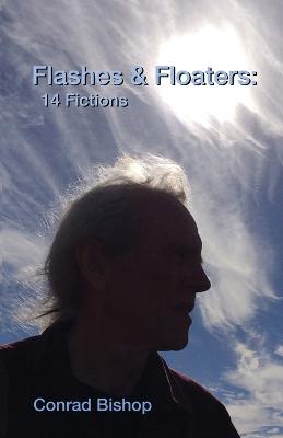 Book cover for Flashes & Floaters