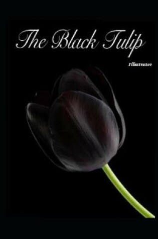 Cover of The Black Tulip Illustrator