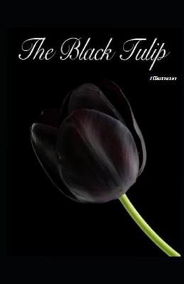 Book cover for The Black Tulip Illustrator