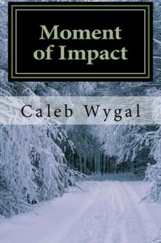 Cover of Moment of Impact