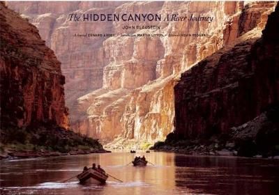 Book cover for The Hidden Canyon