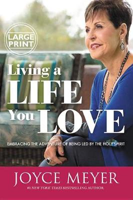Book cover for Living a Life You Love