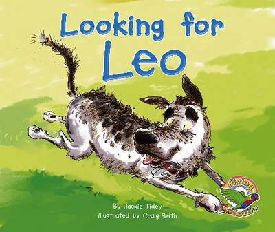 Book cover for Looking for Leo