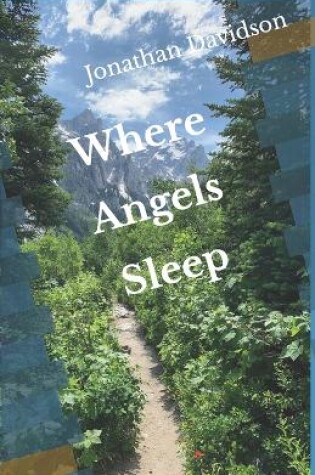 Cover of Where Angels Sleep