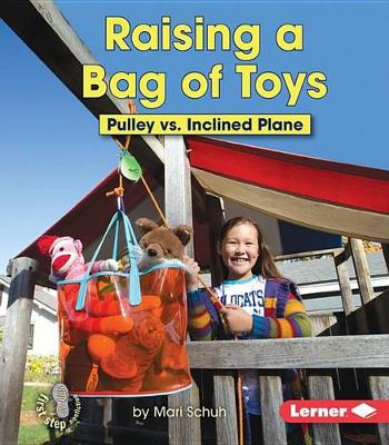 Cover of Raising a Bag of Toys