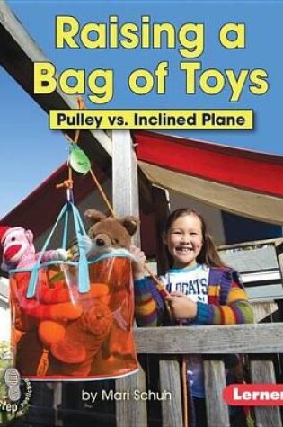 Cover of Raising a Bag of Toys