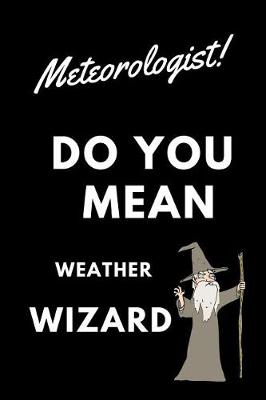 Book cover for Meteorologist! Did You Mean Weather Wizard