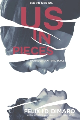 Book cover for Us in Pieces