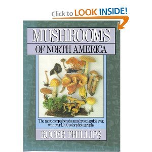 Book cover for Mushrooms of North America