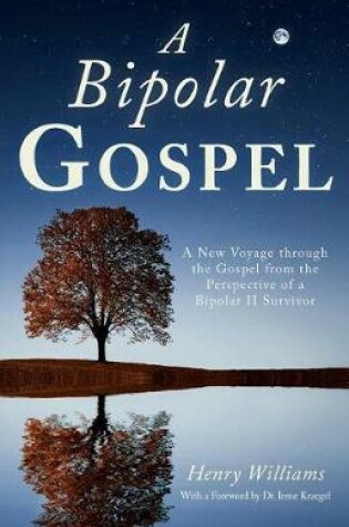 Cover of A Bipolar Gospel